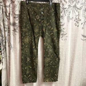 Anthropologie wanderer pants- SO CUTE